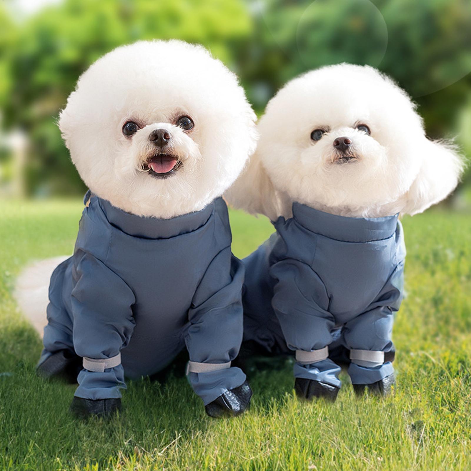 Botas Impermeáveis para Cães c - Women'S Shoes Hush Puppies avaliação e preço